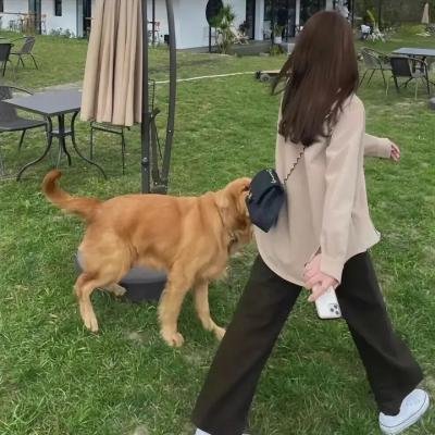 少主且慢行第二季